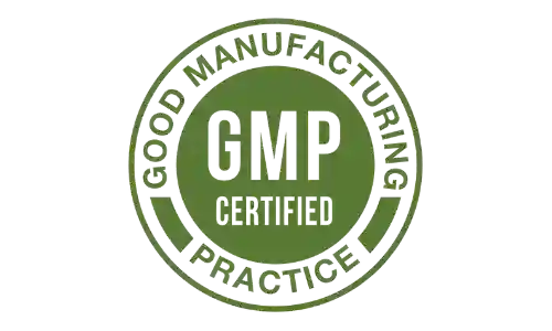electroslim gmp certified